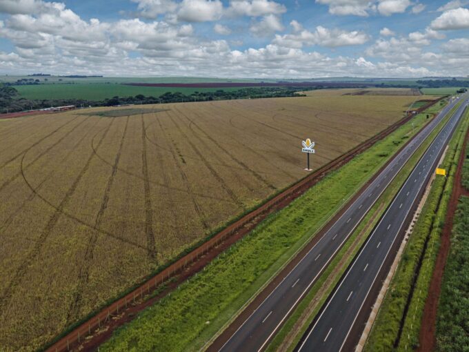 Mais nova opção em híbridos de milho e sorgo, Shull Seeds oferece portfólio moderno